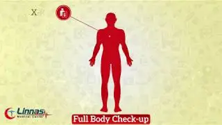 Full Body Check-up