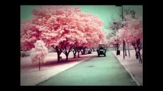 Tracy Chapman - Baby, Can I Hold You? (Tradução)