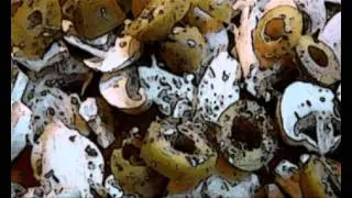 2D Animation
