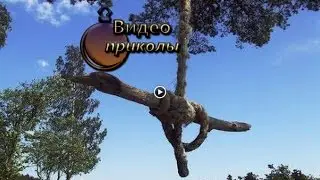 Бухой Тарзан!
