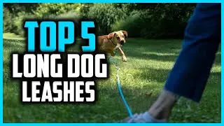 ✅Top 5 Best Long Dog Leashes for More Freedom in 2024