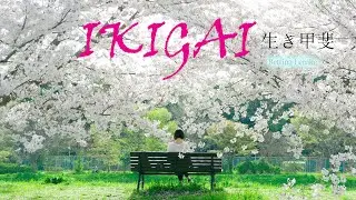 Ikigai ♡ Bettina Lemke⭐️
