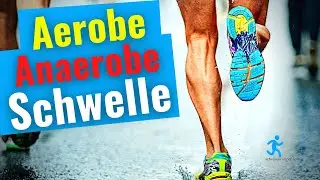 This is how the aerobic-anaerobic threshold works! Simply explained!