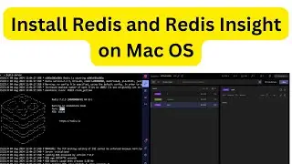 Install Redis Server and Redis Insight on Mac | The TechFlow