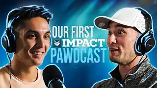 Introductions, life, & career chat with Impact's Creative! | IMPACT PAWDCAST EP. 1