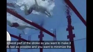 Adam Peaty Breast stroke 1/3