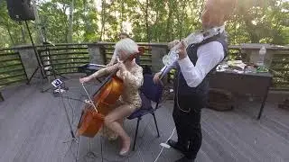 Скрипка, виолончель на свадьбу