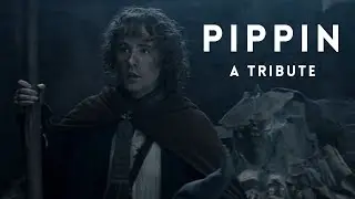 Pippin (Peregrin Took) | A Tribute