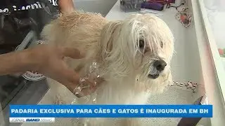 BH ganha primeira padaria para PETs