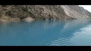 шохимардон