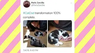 Cat Dad