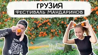ЭТО ШОК, всё бесплатно!!! Фестиваль мандаринов в Батуми!