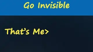 How to go Invisible in Plane Crazy