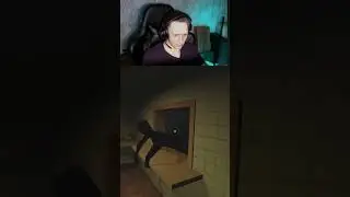 испугался и затроил :D Ржака абасака. Twitch : dogeatdoger121 #shorts