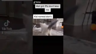 Шок петрич показал жопу