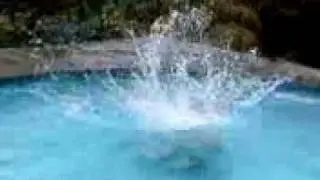 Nic bak flip
