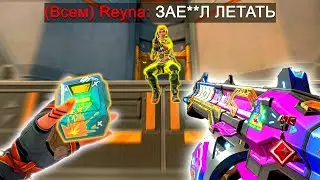 КАК ИГРАЕТ RAZE НА ВЫСОКОМ РАНГЕ