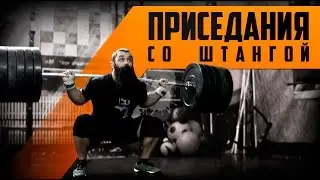 Barbell Squats for Beginners from Borodach. From Zero to Massive
