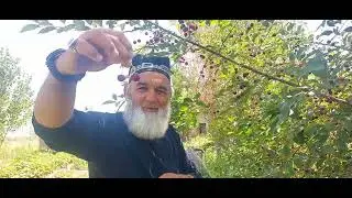 Олучаҳакои ,,БОБОШ,,