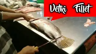 Kolkata Vetki Fish | Fillet Cutting | Fish Fry | Fish Tandoori