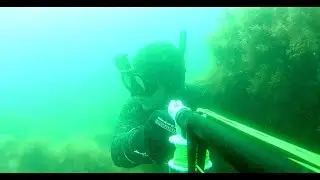 Охота на лобана 2021  Шикарная охота на кефаль  SPEARFISHING IN BLACK SEA 2021  Охота с VLANIK 105