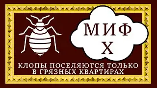 12 мифов о клопах. Миф №10 Клопы поселяются только в грязных квартирах