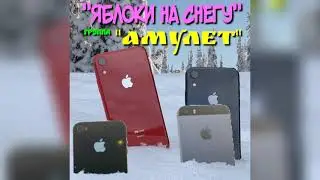 Яблоки на снегу