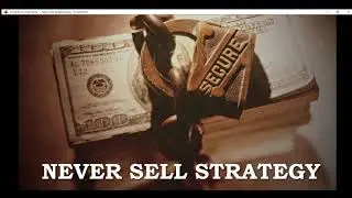 Never Sell Strategy
