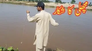 Fish Catching  in our Village Canal مچھلی کا شکار