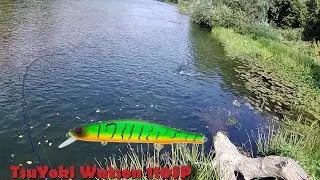 TsuYoki Watson 110SP – a pike killer? Testing the Japanese wobbler on the Sok River