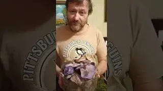 Фиолетовая рядовка. Деликатесная 