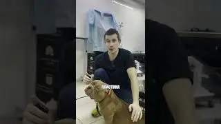 Пластика нёбной занавески у булли 