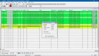 Admija: Customs process - software CelSA