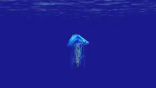 Color-changing jellyfish Tutorial- Trapcode Tao, Form, and Mir
