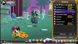 my inventory in aqw