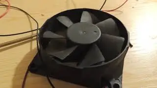 Music cooler