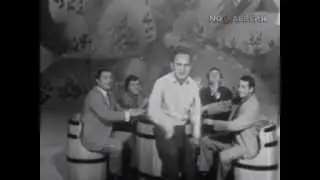 Terem_teremok_1971.avi