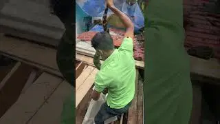 A python caught in a chicken coop 
