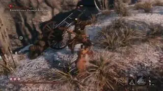 SEKIRO SHADOWS DIE TWICE all dicksuckers killing