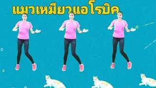 แมวเหมียวแอโรบิค 25 นาที คาร์ดิโอลดพุง ท่ายืน ไม่กระโดด