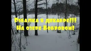 Рыбалка в декабре на озере Бобровом!🐟