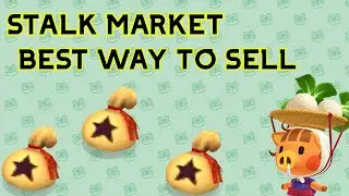 Animal Crossing New Horizons STALK MARKET