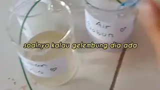 Praktikum Kimia Sederhana Larutan Elektrolit dan Nonelektrolit | Uji Coba Larutan