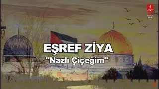EŞREF ZİYA  