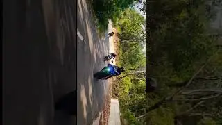 yamaha ride vibes .