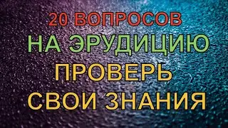 20 вопросов на эрудицию. Проверь свои знания.