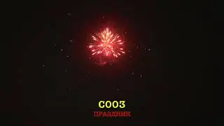 С003 ПРАЗДНИК (12 залпов, 0.8