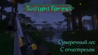 Twilight forest через огнестрел