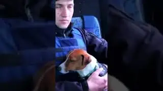 🔴 Ukrainian dog of war #shorts #russiainvadedukraine #ukraine #army #stoprussia #war