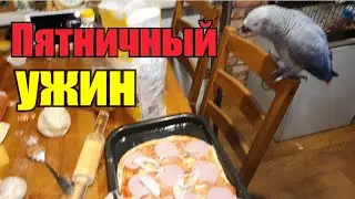 Зима не щадит》Что бы такого съесть》Бокальчик со льдом》Пустоголовый 50 -летний человек